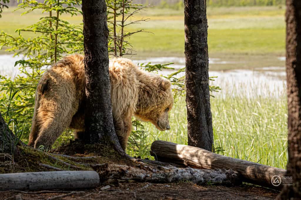 Lake Clark National Park