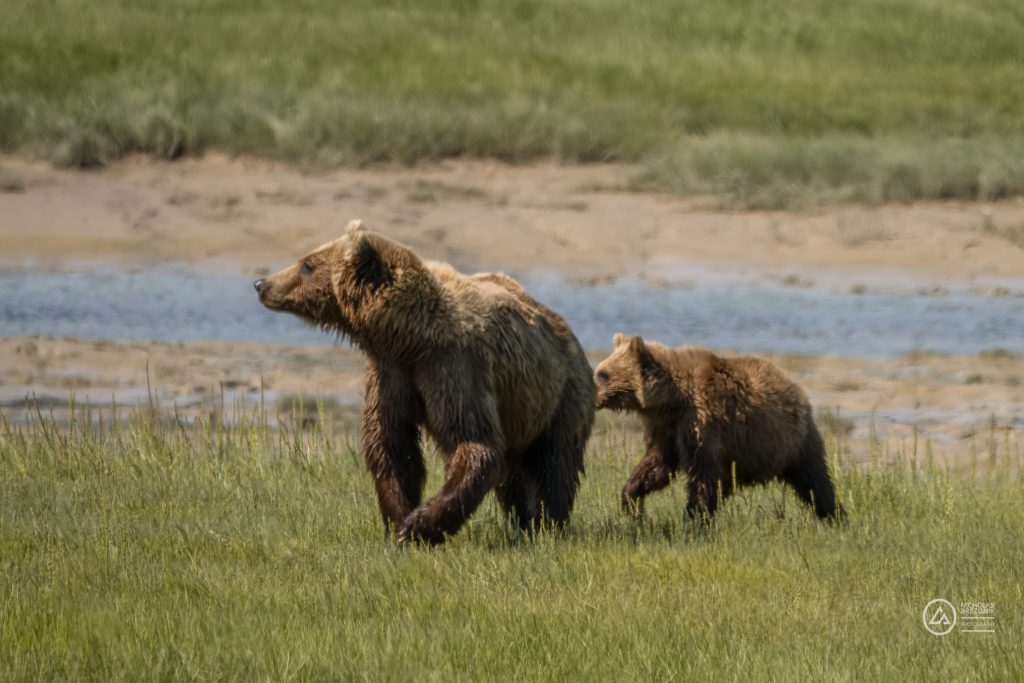 Lake Clark National Park