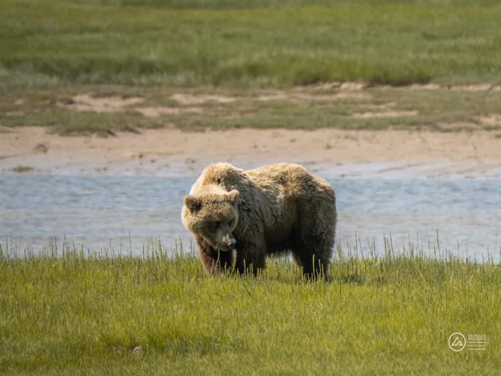 Lake Clark National Park