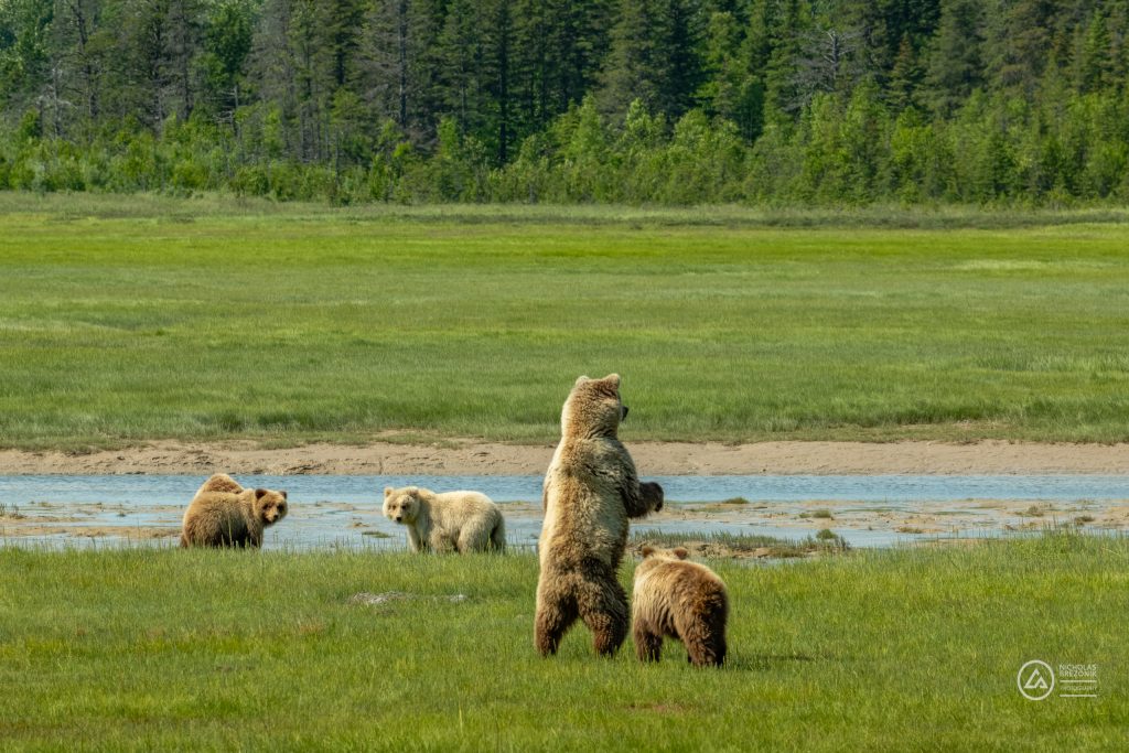 Lake Clark National Park