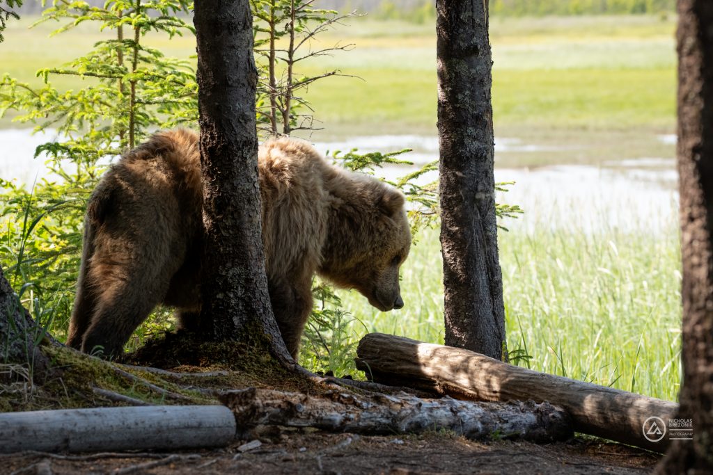 Lake Clark National Park