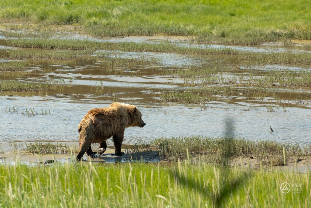 Lake Clark National Park