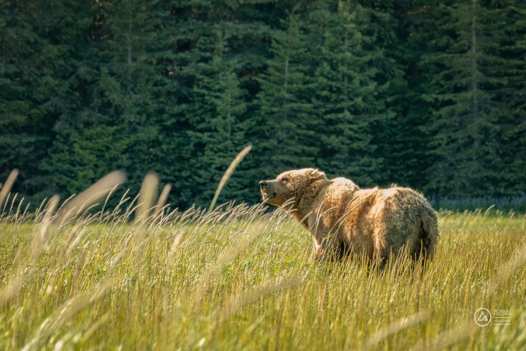 Lake Clark National Park