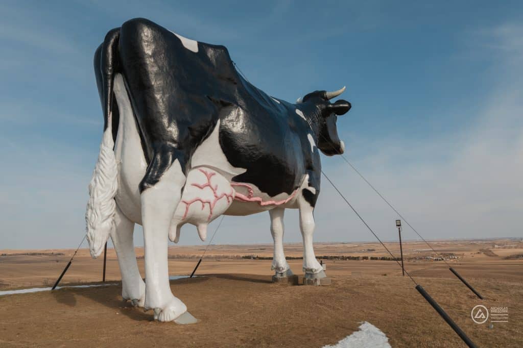 Rivian Road Trip Rivian Road Trip