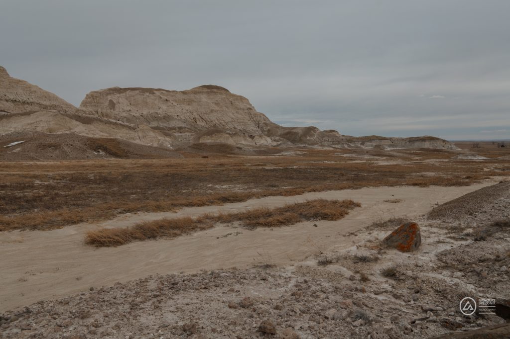 Rivian Road Trip Rivian Road Trip