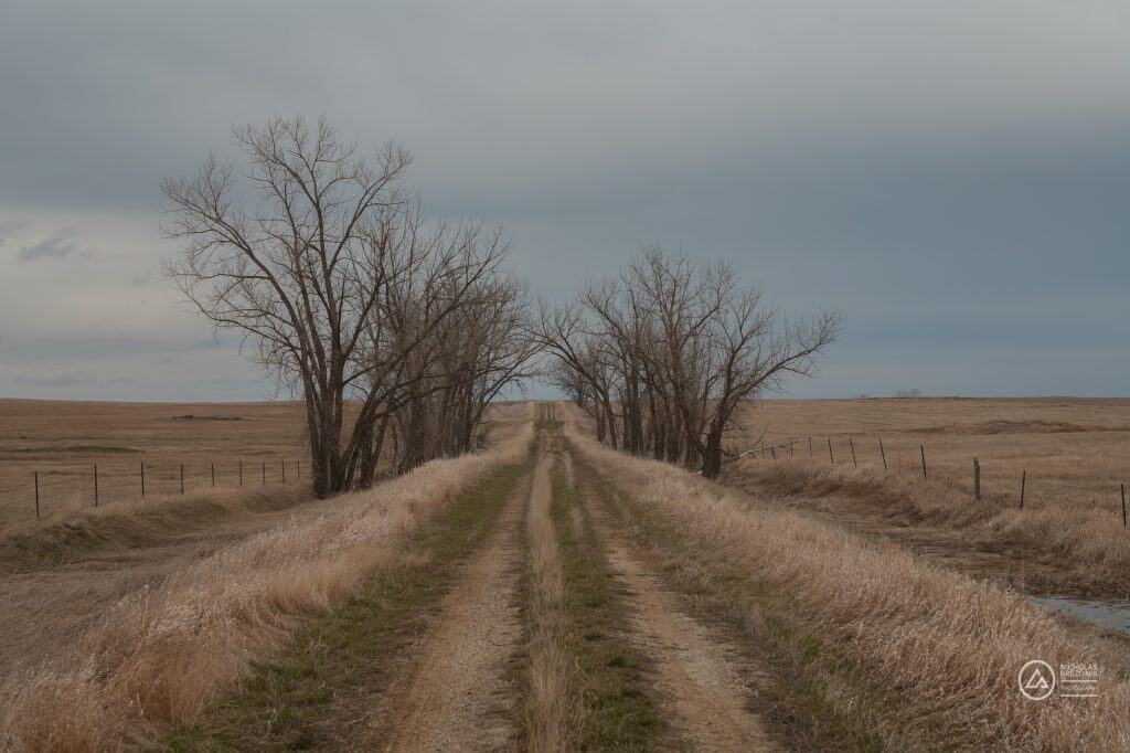 Rivian Road Trip Rivian Road Trip