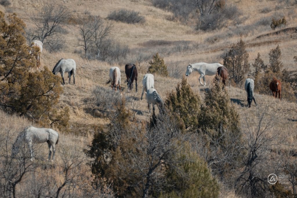 Rivian Road Trip Rivian Road Trip