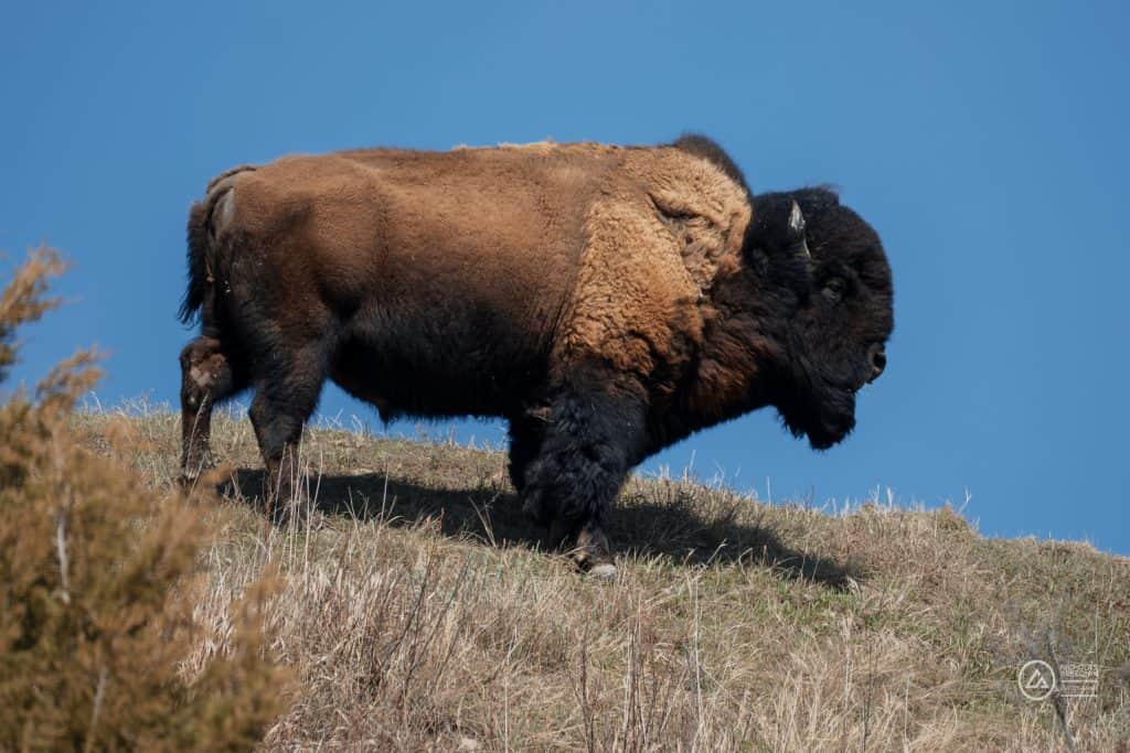 Rivian Road Trip Rivian Road Trip