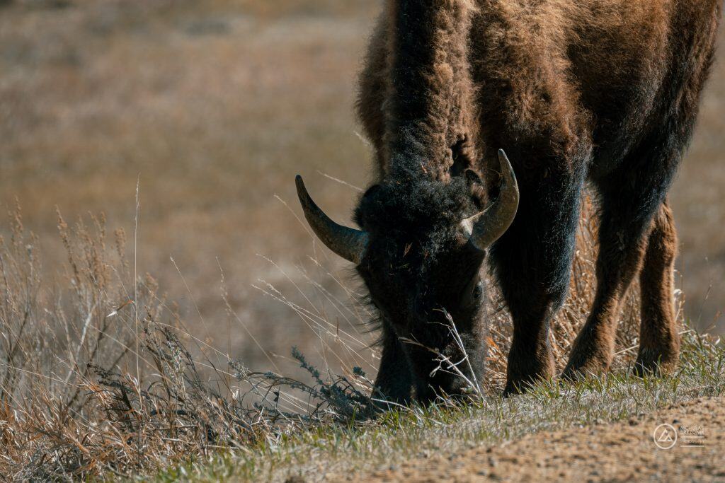 Rivian Road Trip Rivian Road Trip