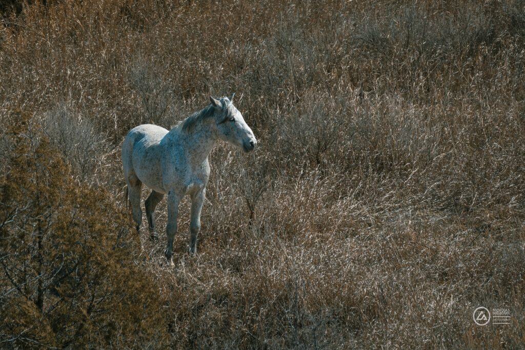 Rivian Road Trip Rivian Road Trip