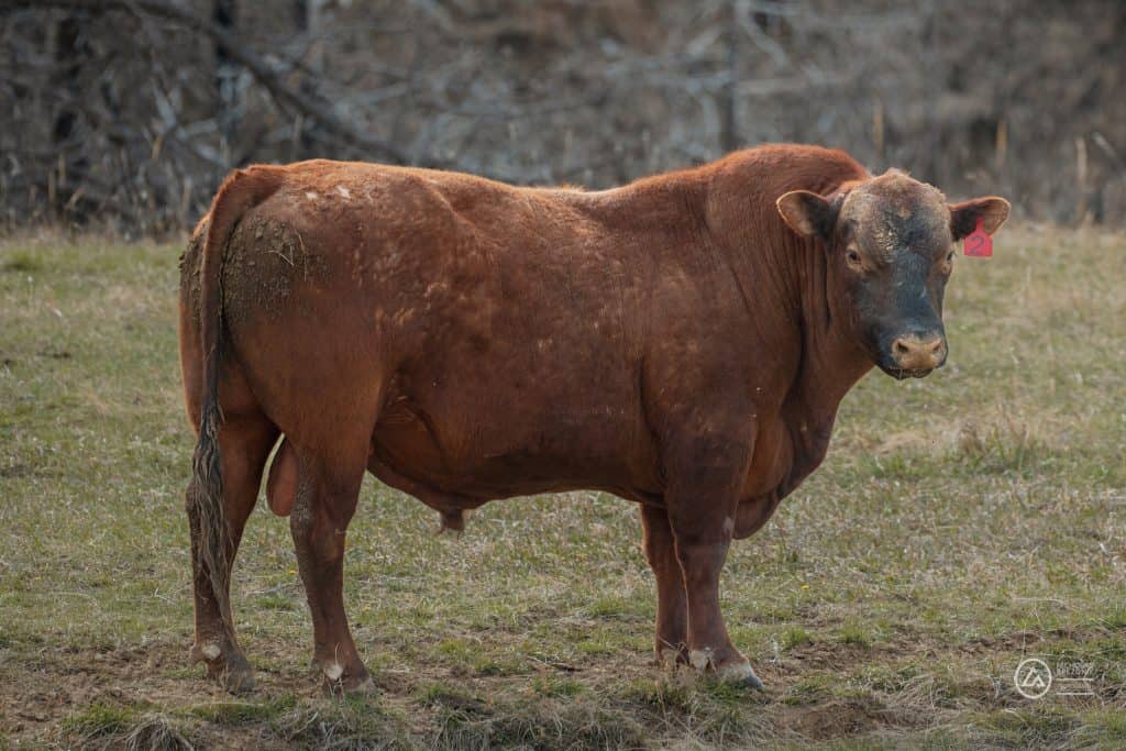 Rivian Road Trip Rivian Road Trip