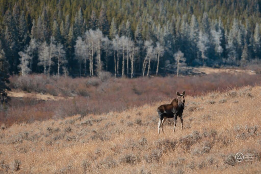 Rivian Road Trip Rivian Road Trip