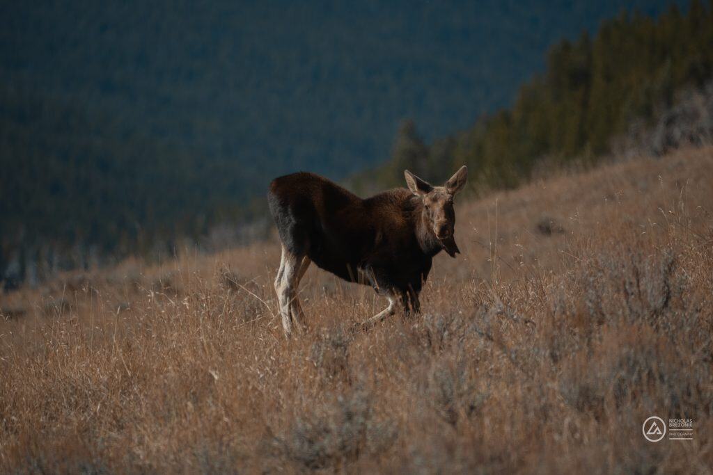 Rivian Road Trip Rivian Road Trip