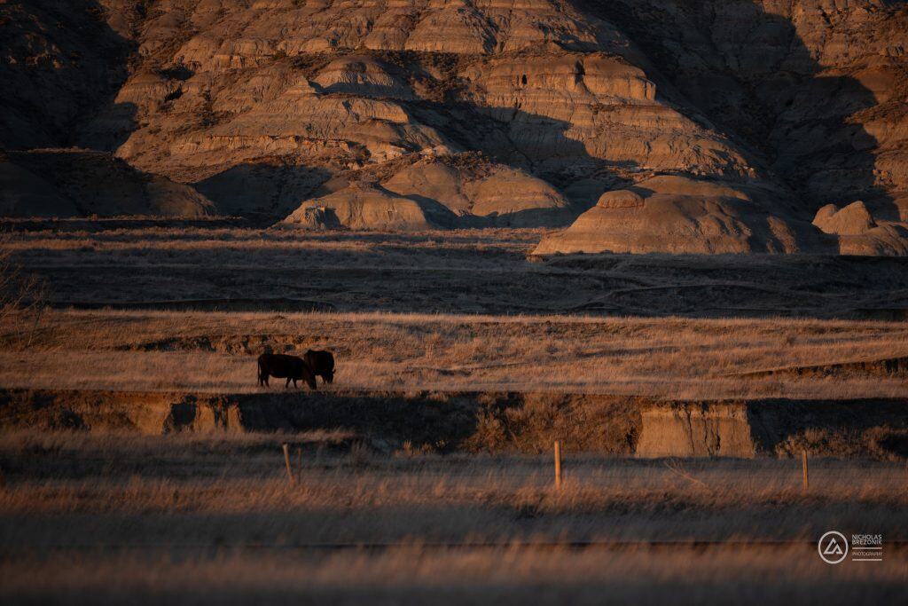 Rivian Road Trip Rivian Road Trip
