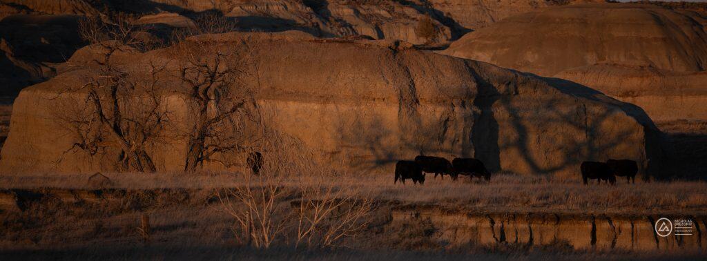 Rivian Road Trip Rivian Road Trip