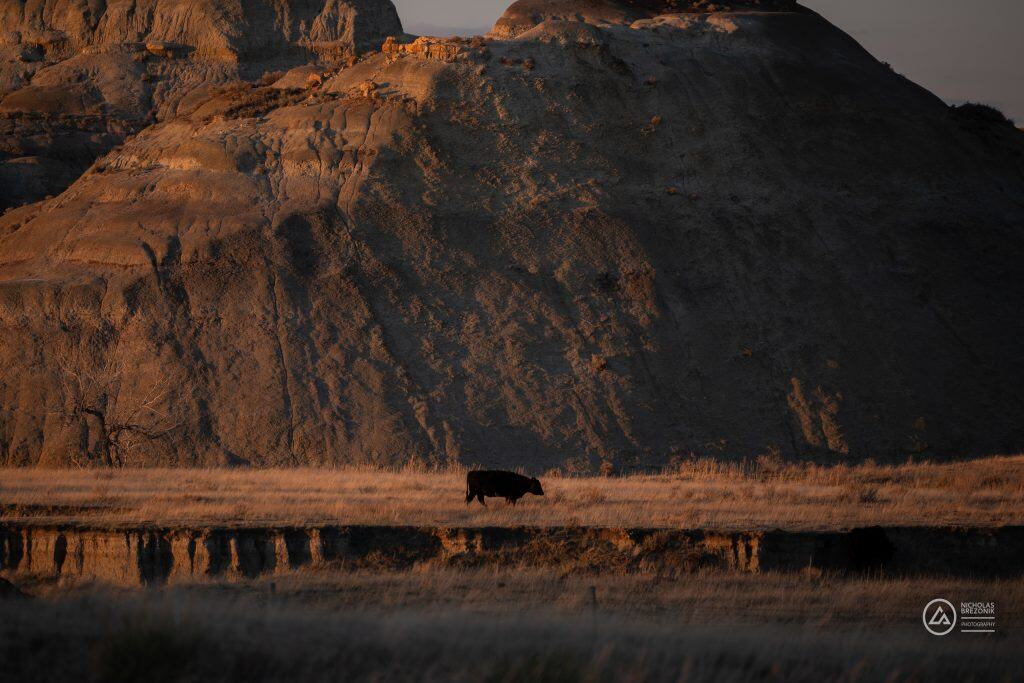 Rivian Road Trip Rivian Road Trip