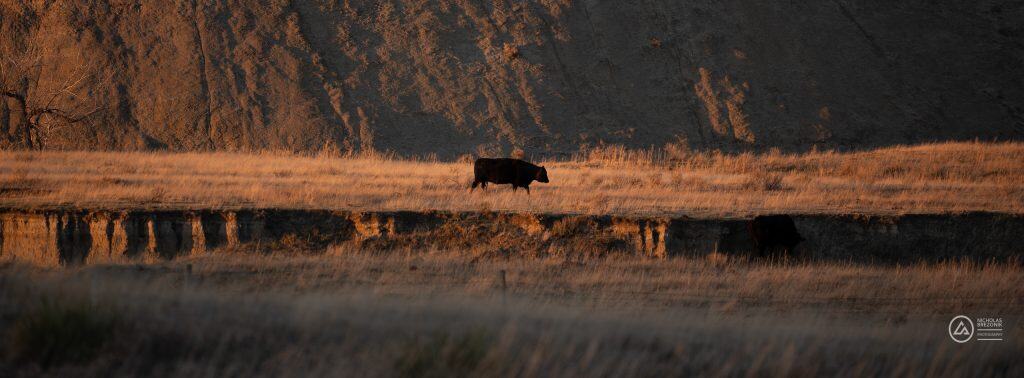 Rivian Road Trip Rivian Road Trip