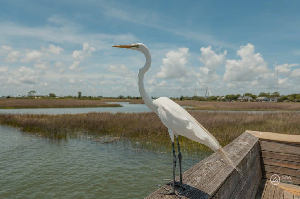 Charleston
