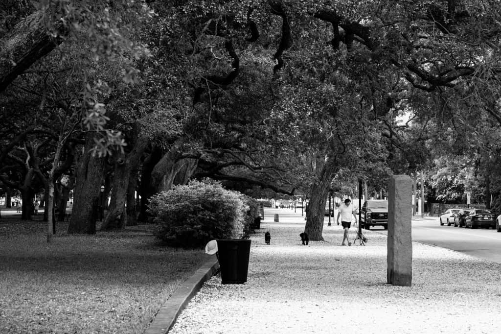 Charleston