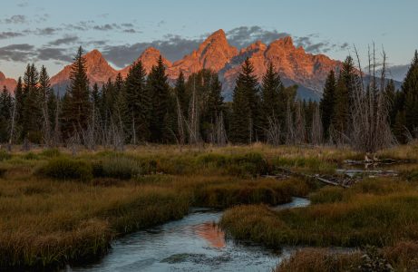 Jackson Hole & the Grand Tetons
